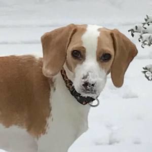 Meet your Posher, Vanessa